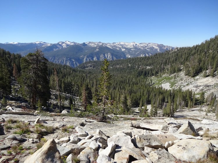 alpine canyon 2018 - 1 (2).jpeg