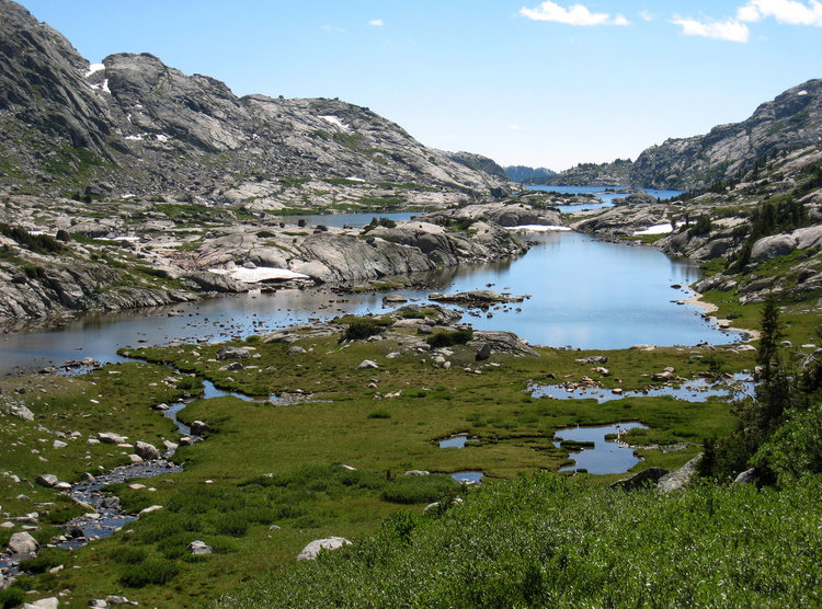 Wall Lake inlet area (2009 photo)
