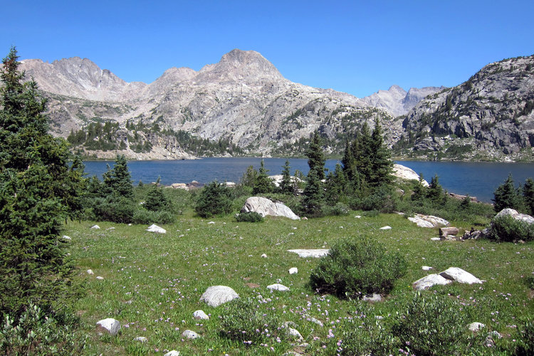 Upper Cook Lake south end