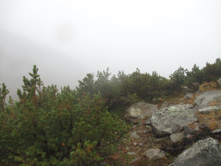 wind river 9-22 - 1 (33).jpeg