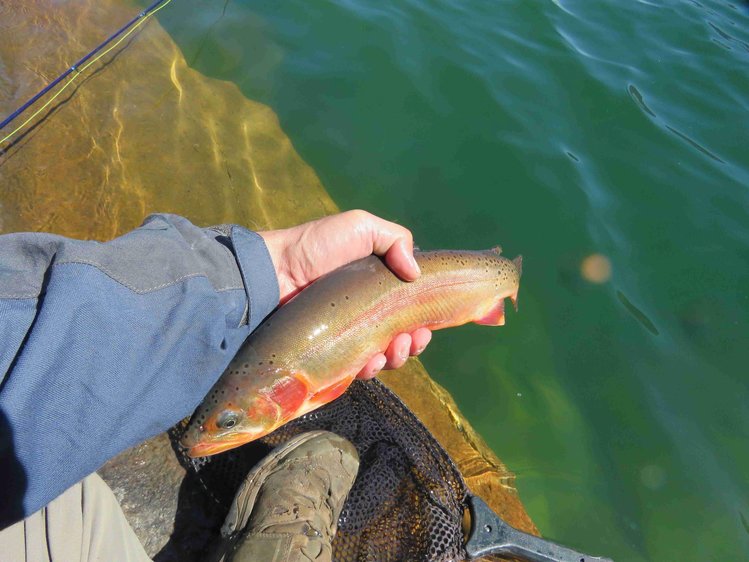 wind river 9-22 - 1 (38).jpeg