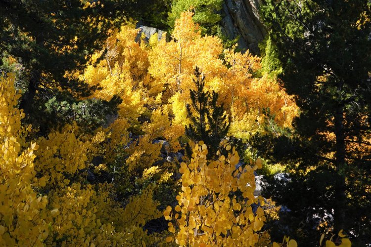9. Fall colours starting.jpg