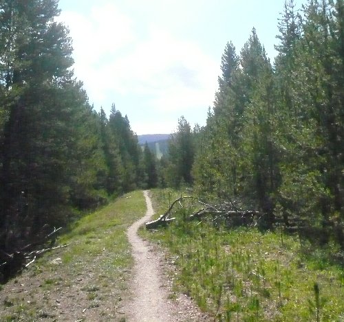 9qRail Grade Trail.JPG