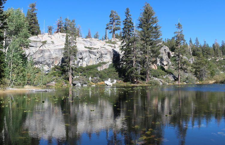 Unnamed ponds between Camp Lake and Piute Lake