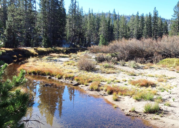 North Fork Cherry Creek crossing above Cow Meadow Lake
