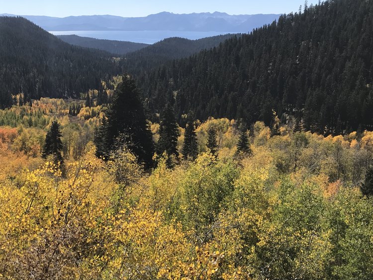 View down North Canyon from Snow Valley Peak jeep trail