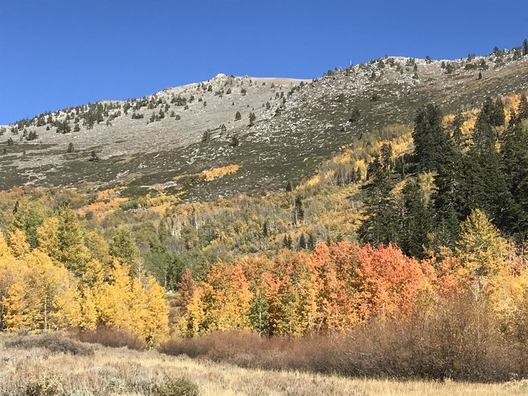View up to Snow Valley Peak from fire road, about mile 3