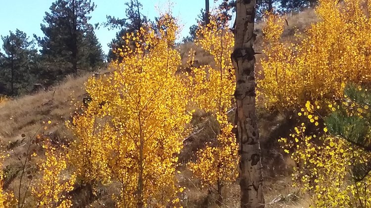 20221007_103257.jpg