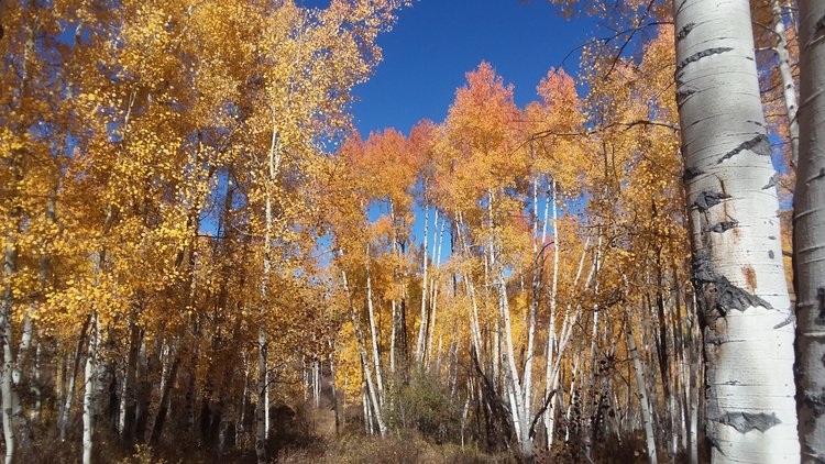 20221015_140016.jpg
