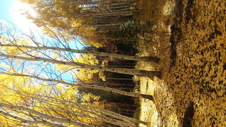 20221015_141848.jpg