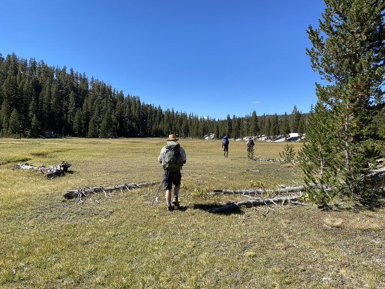 Meadow before hitting the old State Lake and Horseshoe Lakes trail