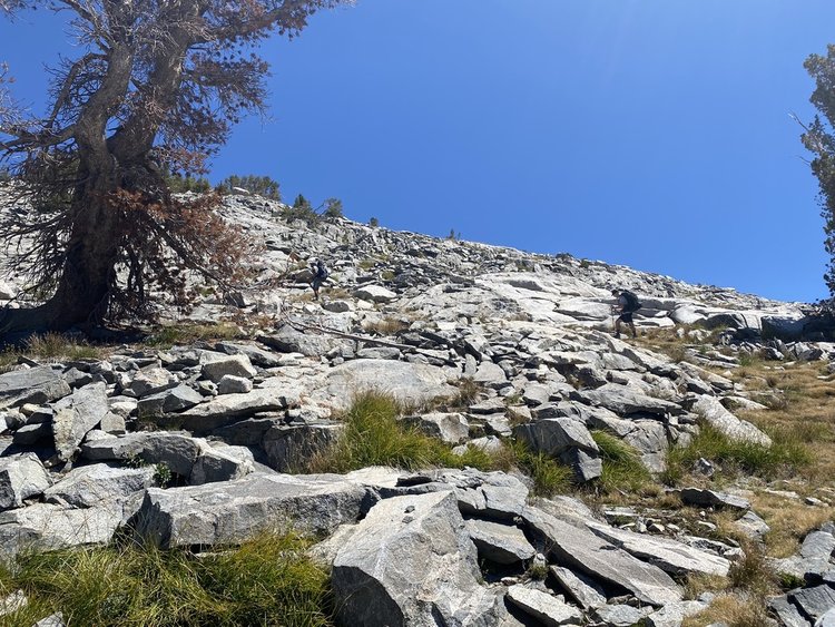 Walking up white pass