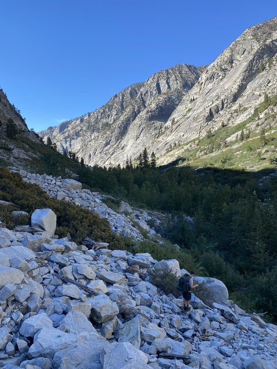 Another Talus Field