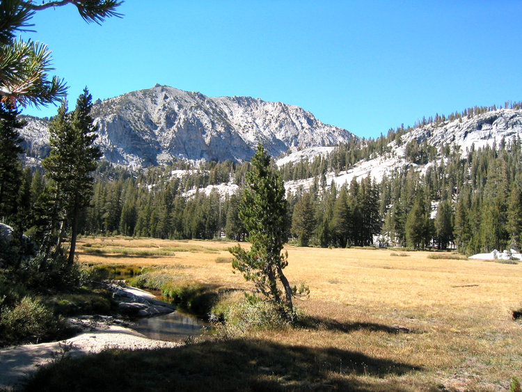 Pocket Meadow
