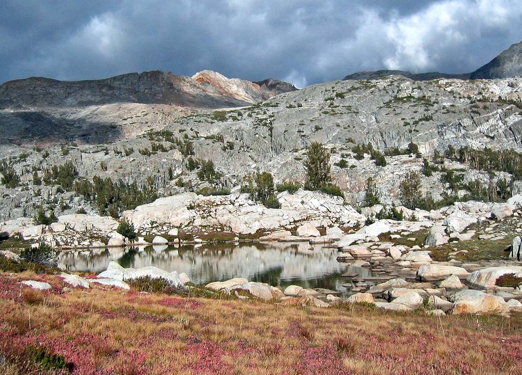 Pond by where I camped