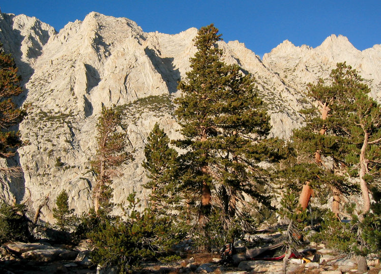 Camp (tent is lower right, hidden in the trees)