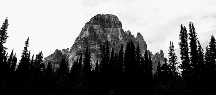 100_1685.JPG