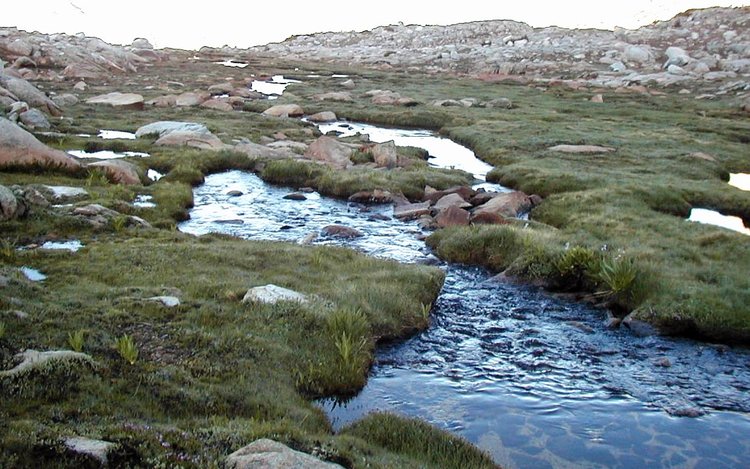 Creek below Bishop Pass 7:30AM  *