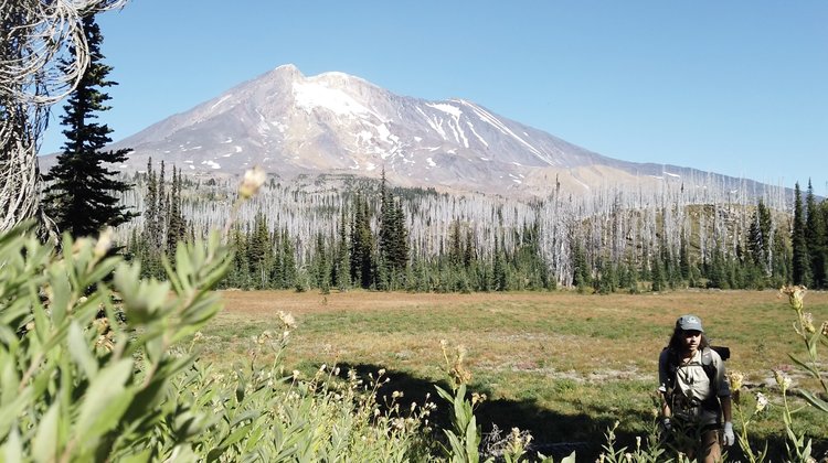 Meadow Beneath Mt. Adams