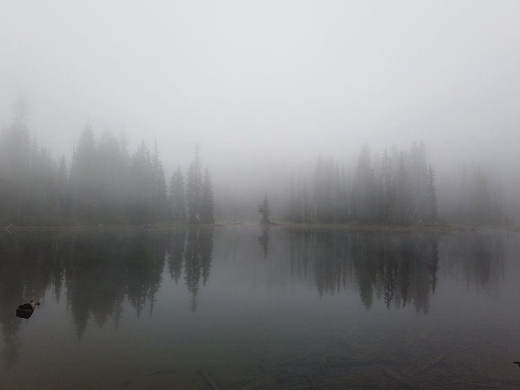 Foggy Lake Reflection