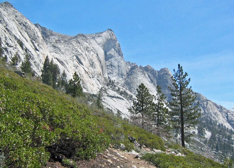 Castle Dome Meadow