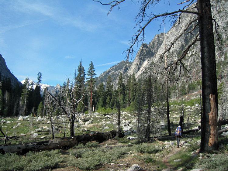 Paradise Valley