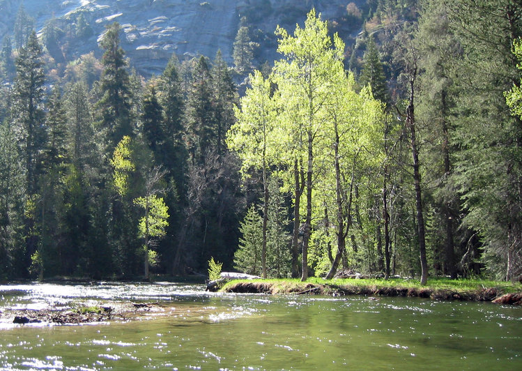 Paradise Valley