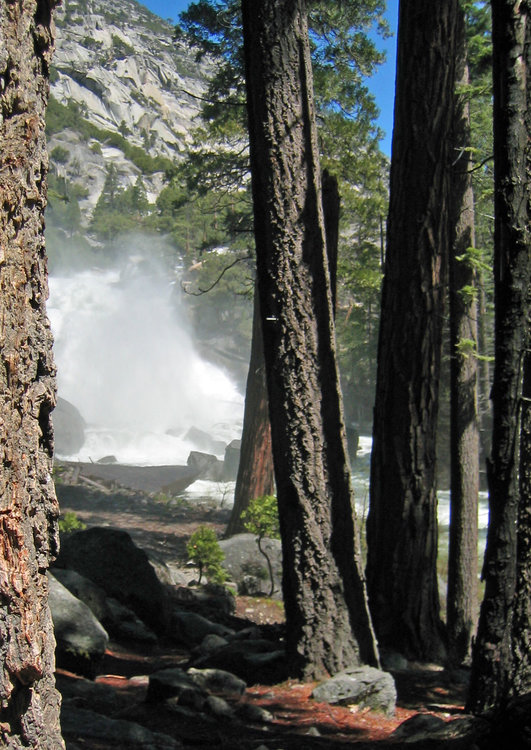 View through trees at Mist Falls