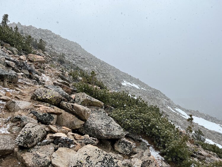 11 Above Upper Lamarck.jpg
