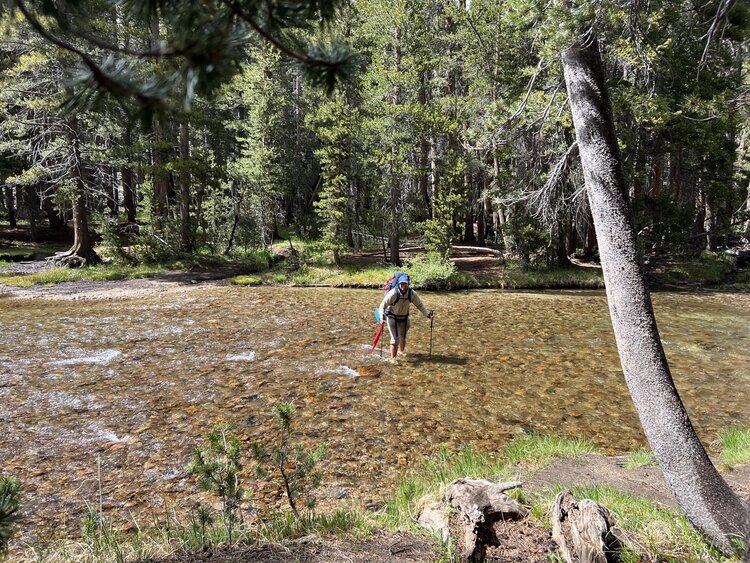 32 Evolution Creek.jpg