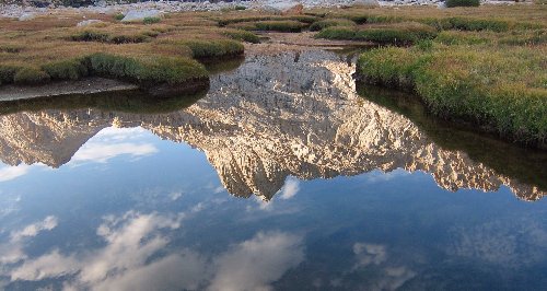 reflection