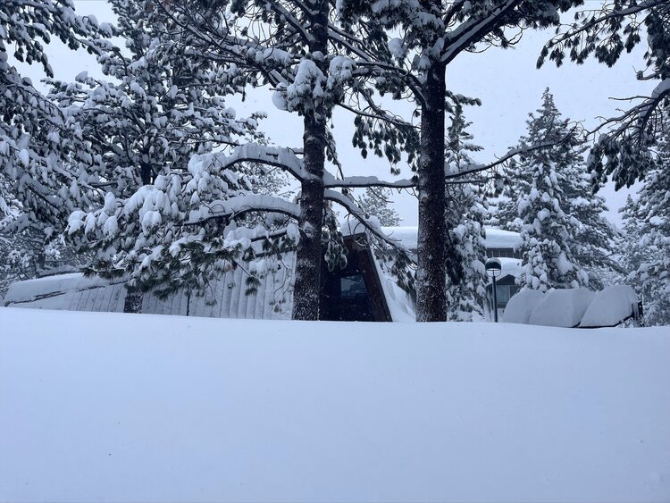 Mammoth Lakes