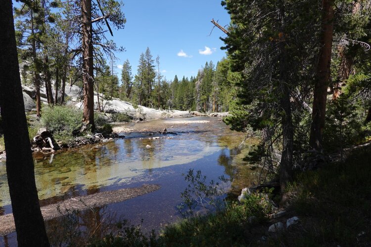 Bear Creek 2.