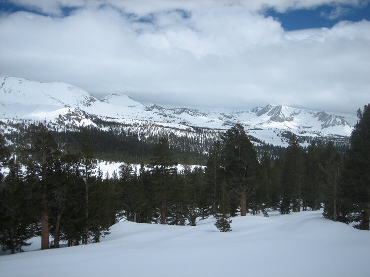 IMG_2613.JPG