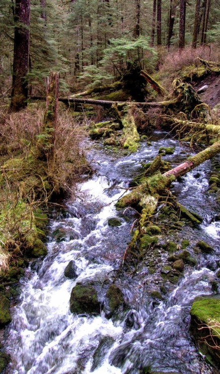 100_2643.JPG