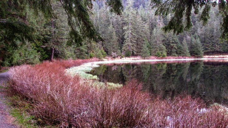 100_2697.JPG