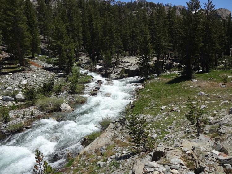 south fork san joaquin above bridge 7-14-2017 - 1.jpeg