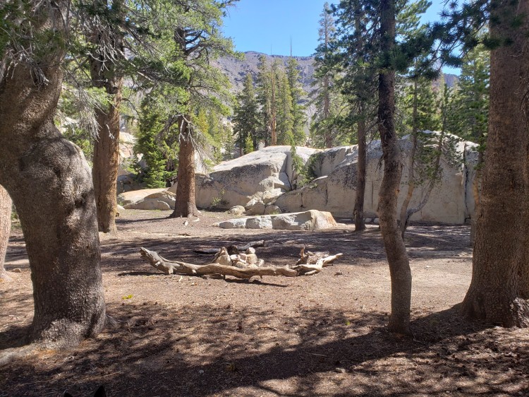 Sheep Camp.jpeg