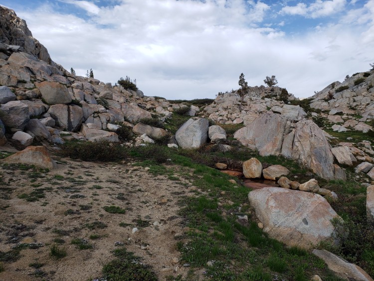 Trail between Middle Emigrant and Blackbird.jpeg