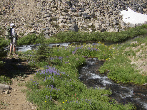 Flowers 4.jpg