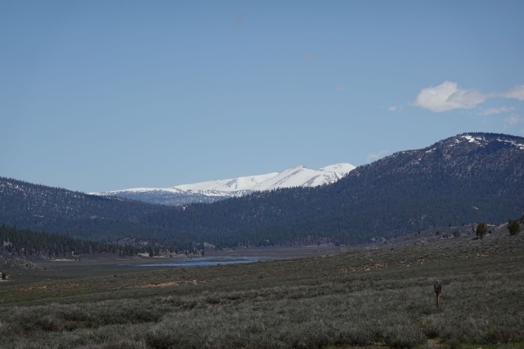 4. The big snow - Looking north from Beck Meadow