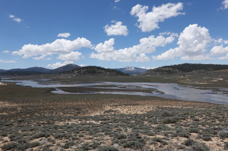 5. Upstream of second S. F. Kern River bridge