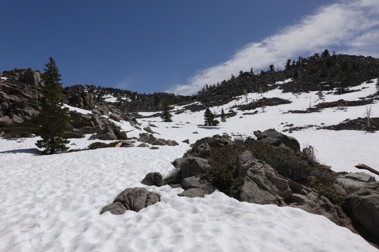 9. WSW of Olancha Peak - 9,500 ft.