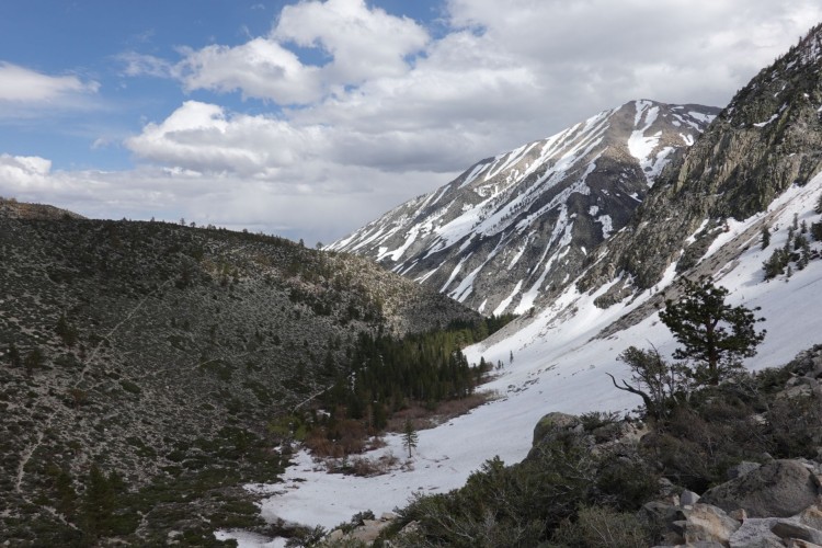 11. Looking down N. Fork of Big Pine from 8.850 ft.