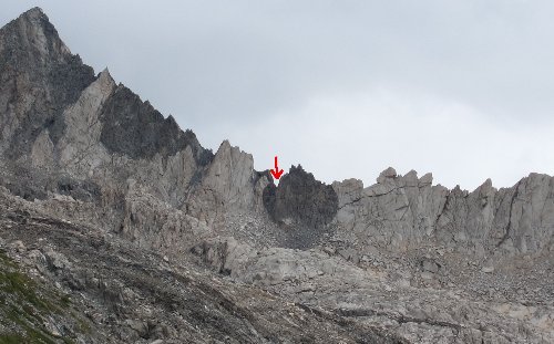 echo col from the southwest side