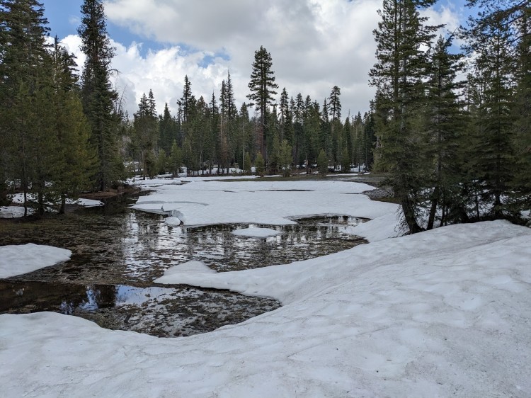 PXL_20230527_225428546.jpg
