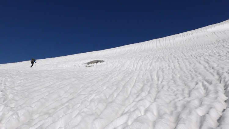 Just below Piute Pass c. 11,000 ft.