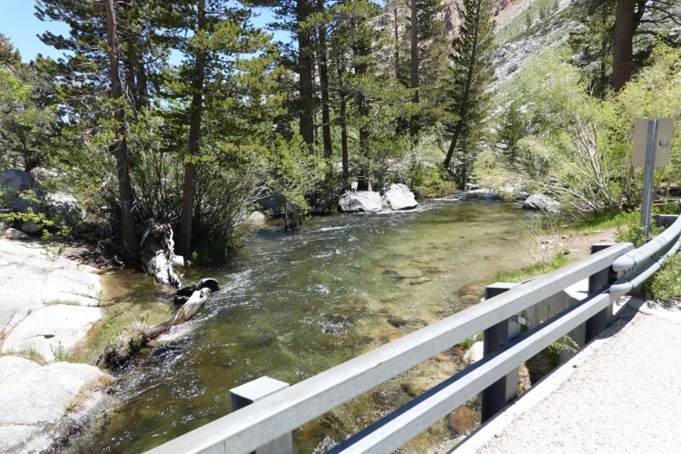 Creek flow at Sabrina - N. Lake Road
