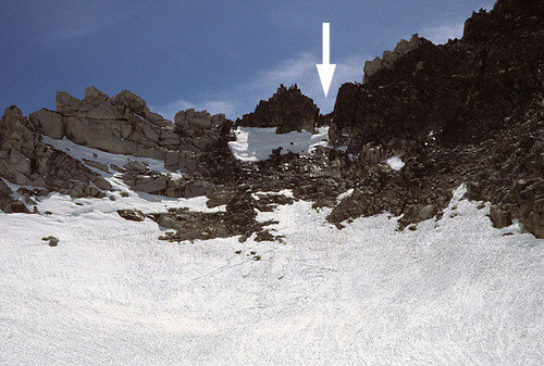 echo col from the north