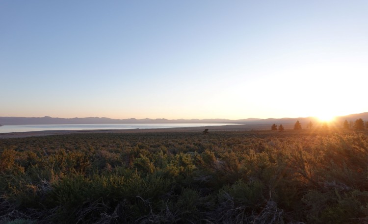 Mono Lake